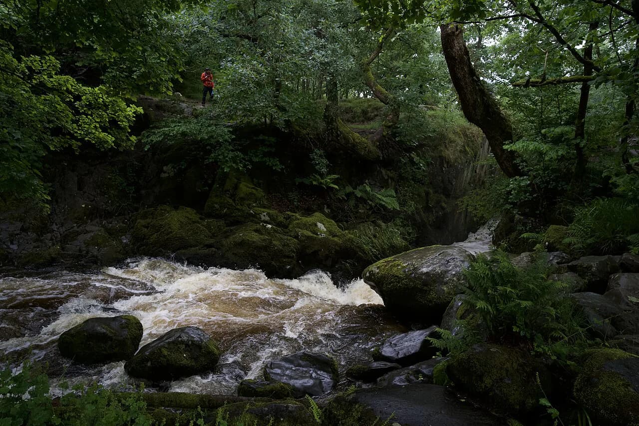 Aira Force Walk Guide: Lake District Route & Parking