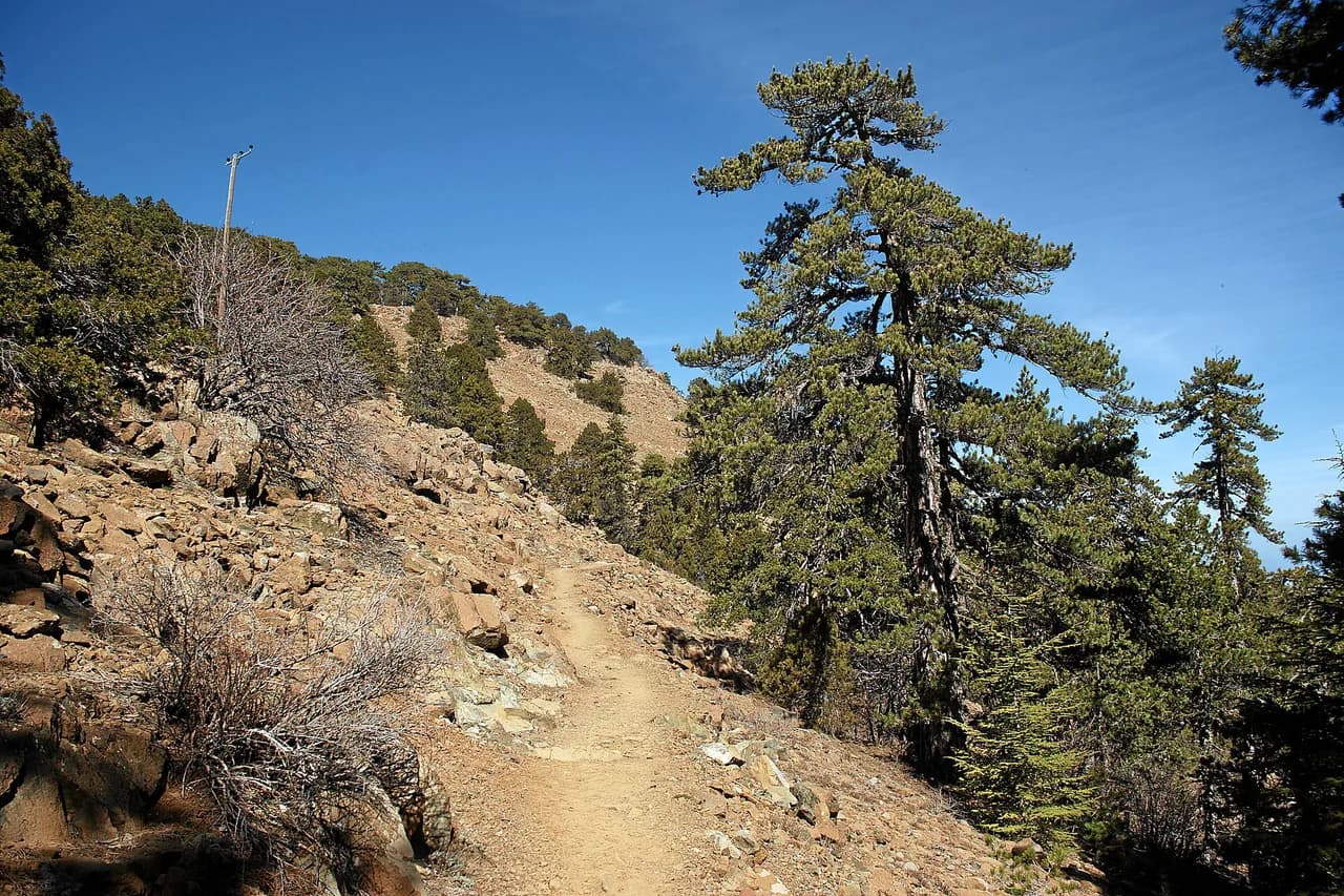 Artemis Trail, Troodos: Route, Distance and Trailhead