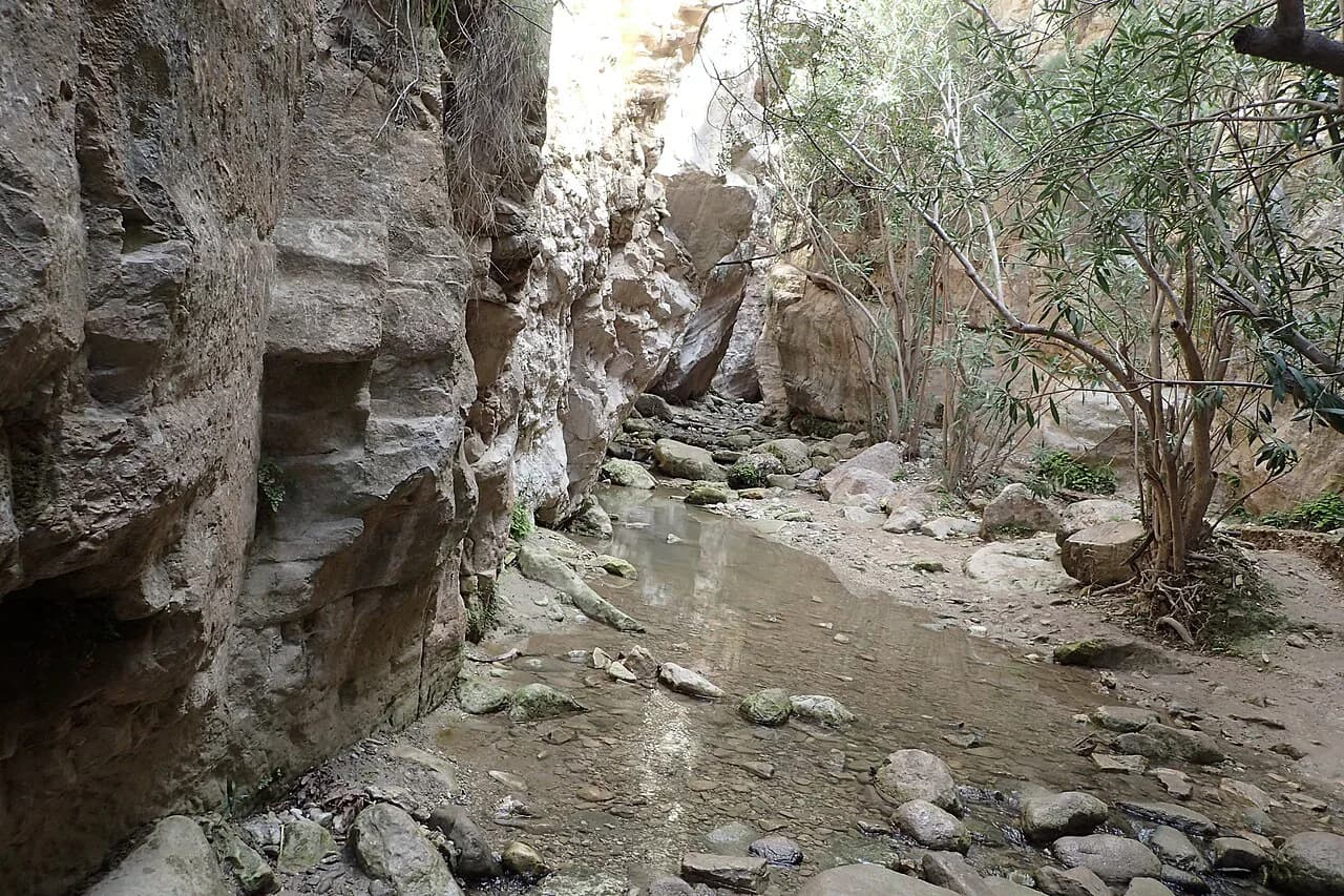 Avakas Gorge Cyprus: Trailhead, Route & What to Expect