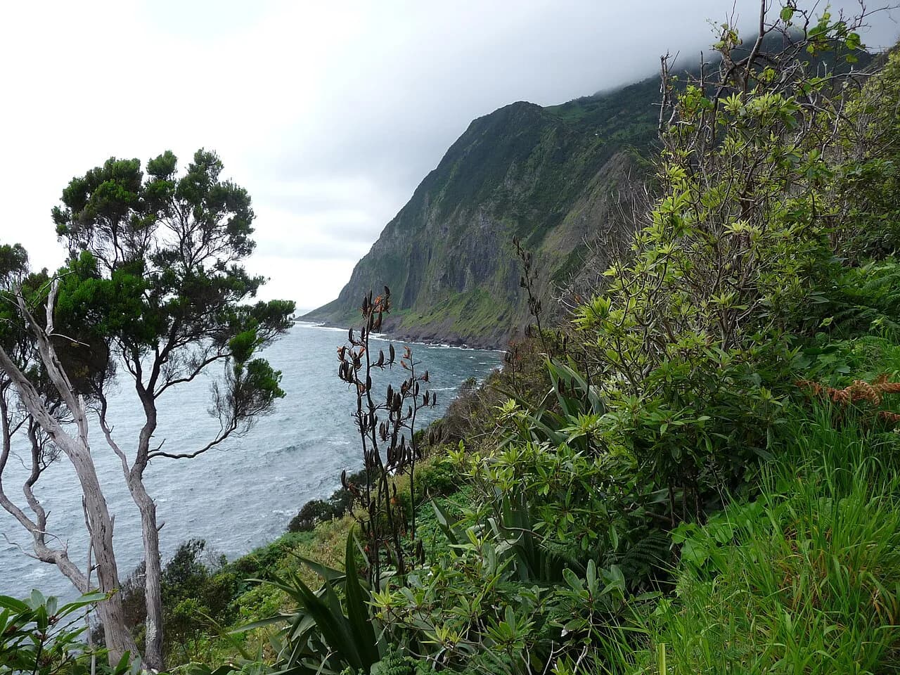 Hiking in the Azores: Which Island Suits Your Boots