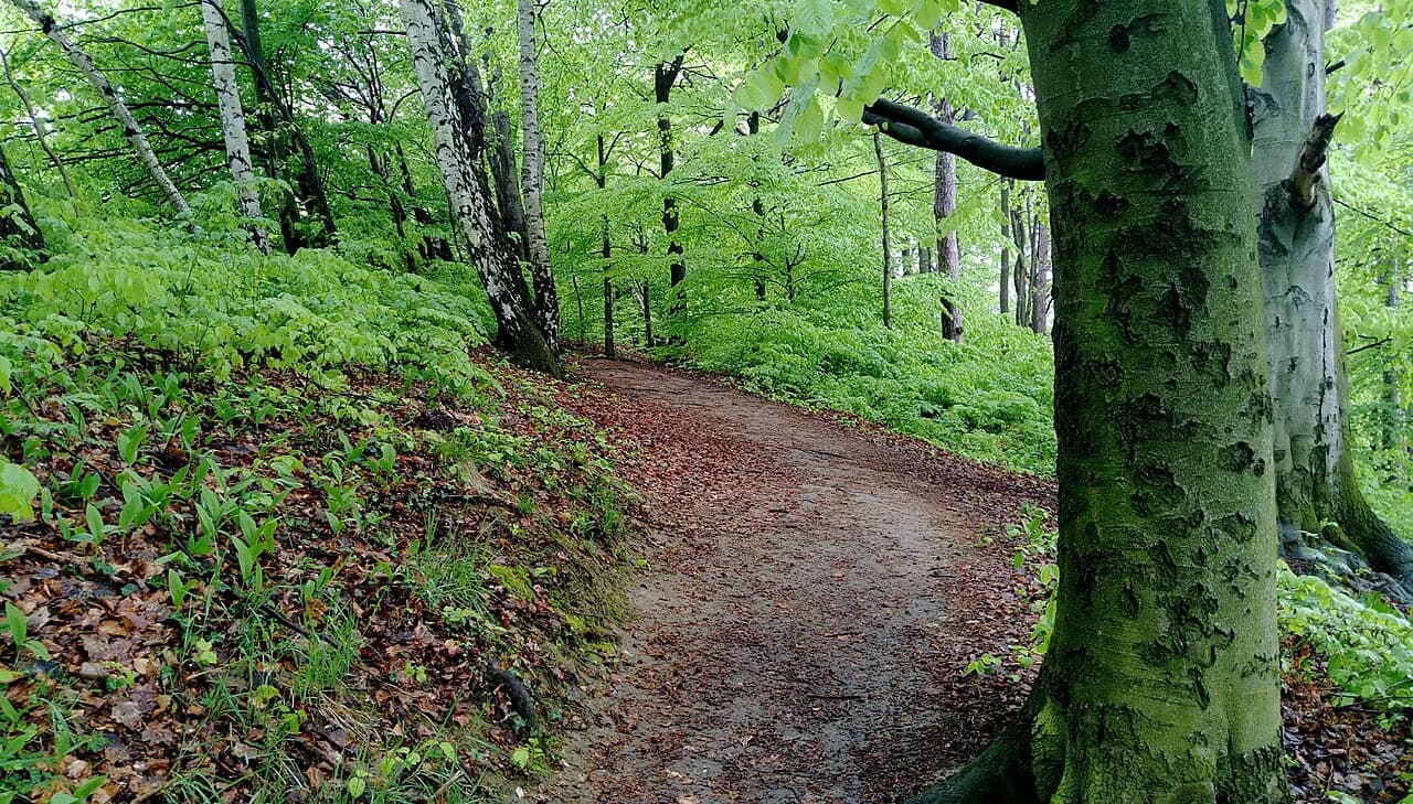 Hiking Switzerland in September: Trip Timing Guide