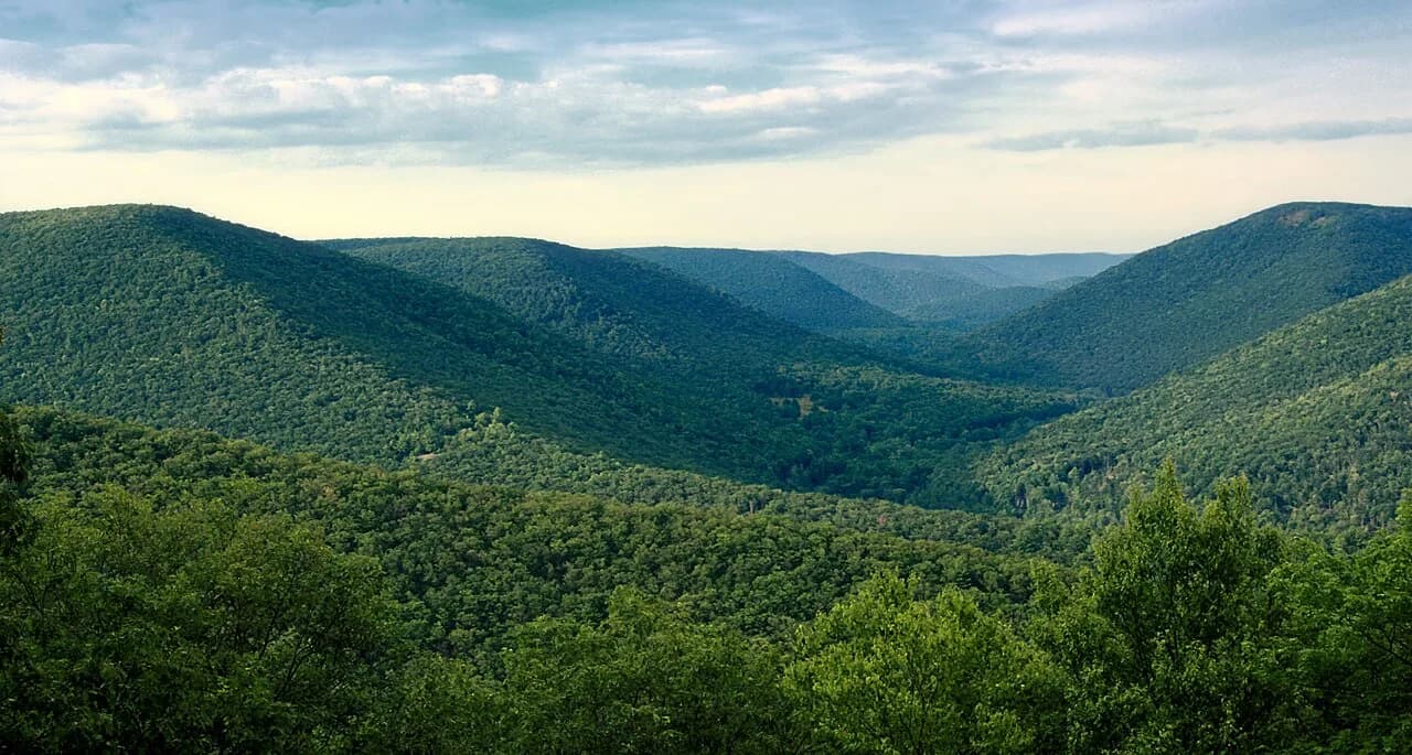 Black Forest Hiking: Best Trails and Bases to Choose