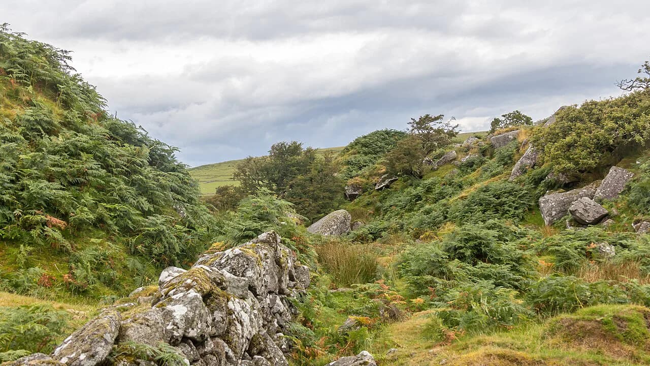 Bodmin Moor Walks: Best Circular Routes and Where to Start