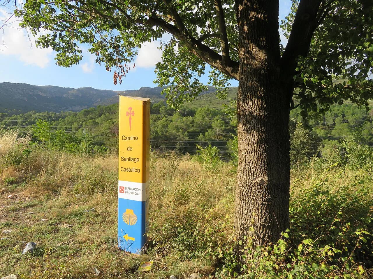 Camino de Santiago: Routes, Distances and How to Choose