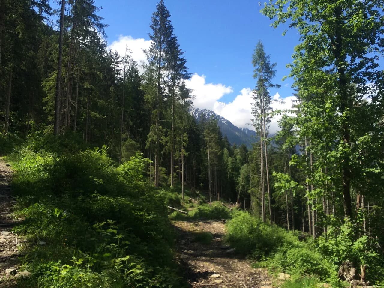 Chamonix Via Ferrata: Routes, Grades and Gear