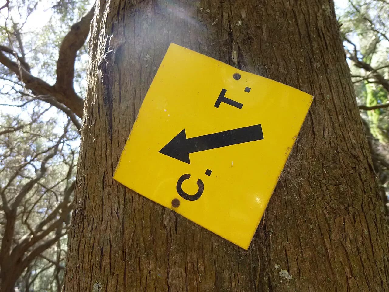 Hiking in Corfu: Best Trails, the Corfu Trail and When to Go