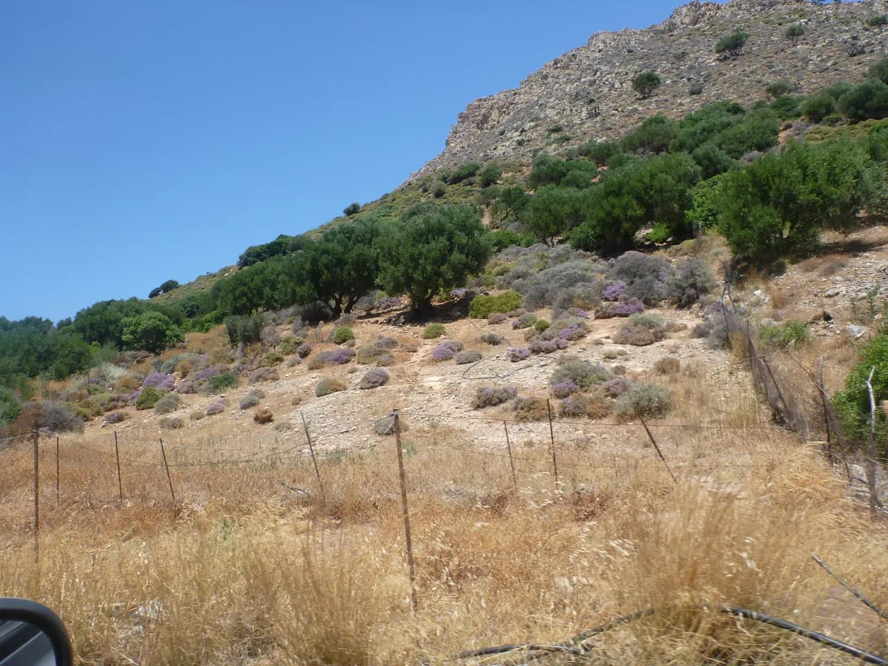 Corfu Walking Holidays: Guided vs Self-Guided Tours Compared