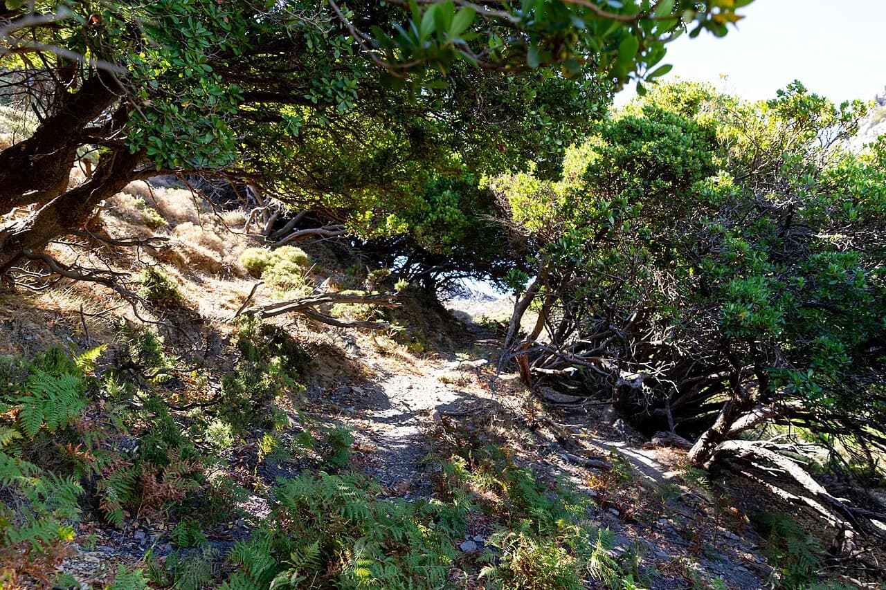 Hiking in Crete: Best Gorges, Mountain Trails and When to Go