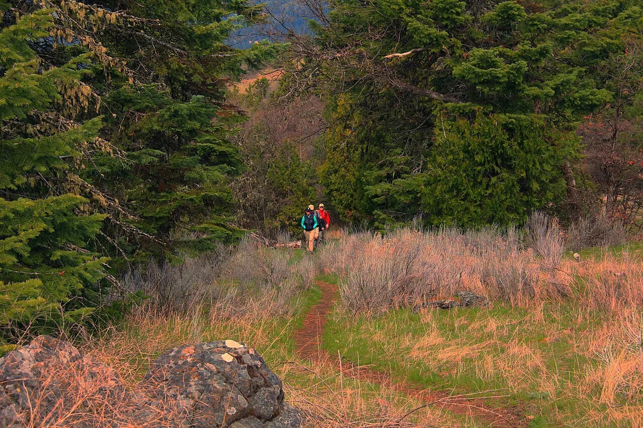 Crete Walking Holidays: Guided vs Self-Guided Tours