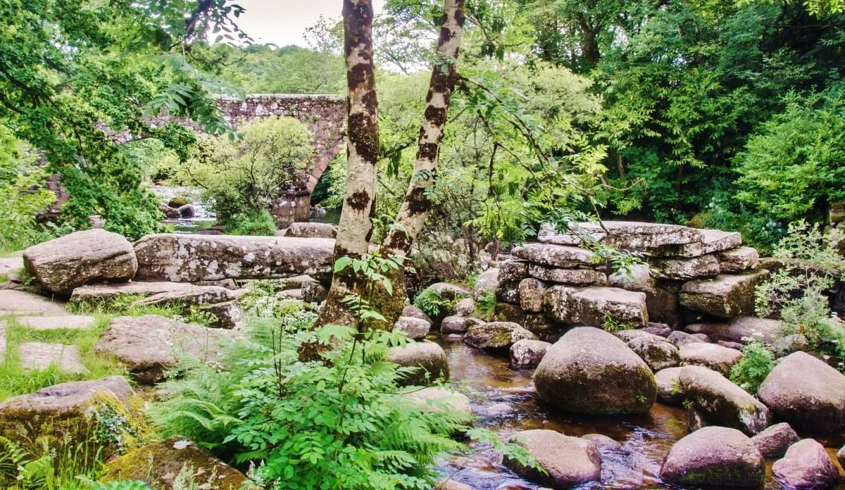 Dartmeet Walk: A Dartmoor River, Tor and Woodland Circuit