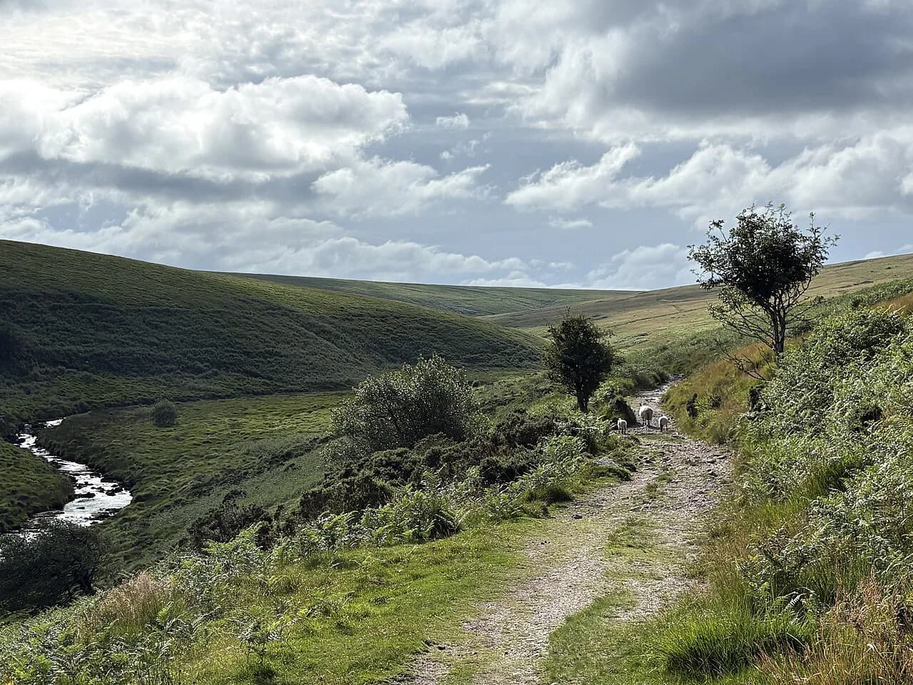 Walks in Dartmoor: Best Day Hikes, Distances and Trailheads