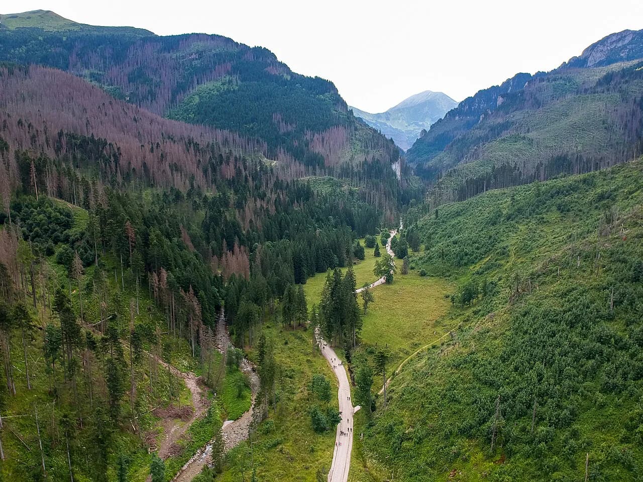 Dolina Kościeliska Hike: Tatra Valley Trail Guide