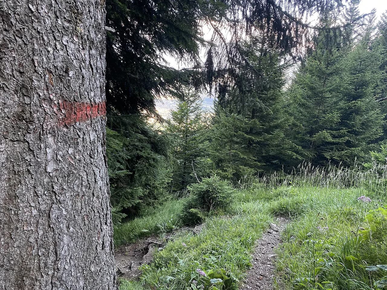 Easy Hikes in Innsbruck: Short Trails With Big Views