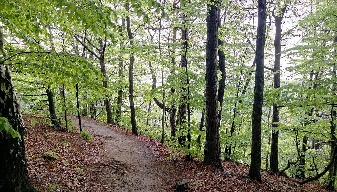 Hiking in Switzerland for Beginners: Easy Day Hikes