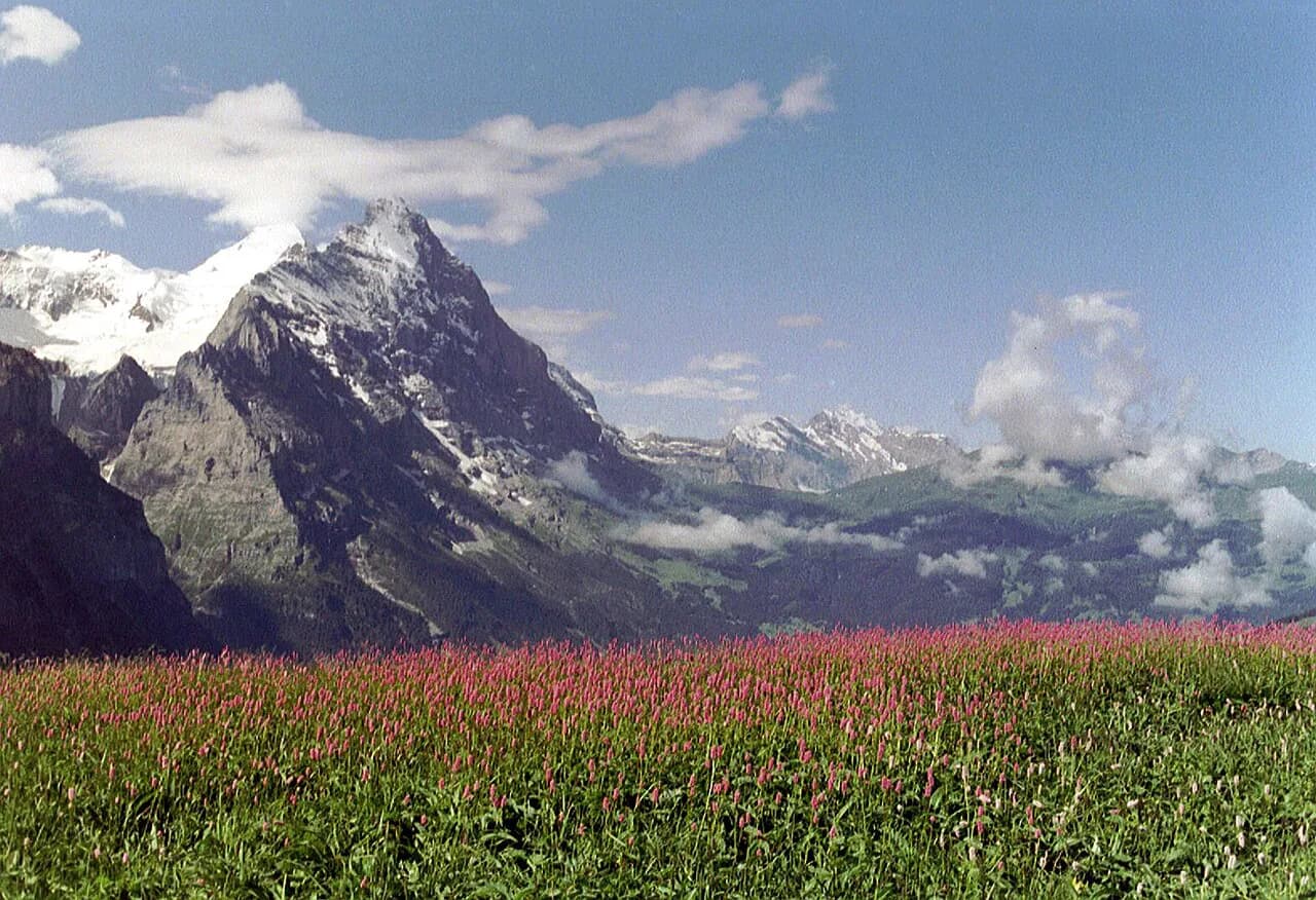 Eiger Trail Hike from Eigergletscher to Alpiglen: Guide