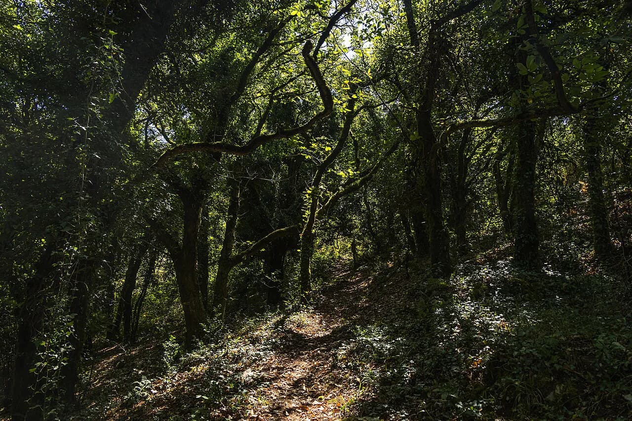 Multi-Day Hikes Europe: 12 Routes to Choose From