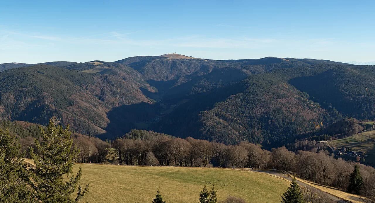 Feldberg Hike: Black Forest Summit Walk Guide