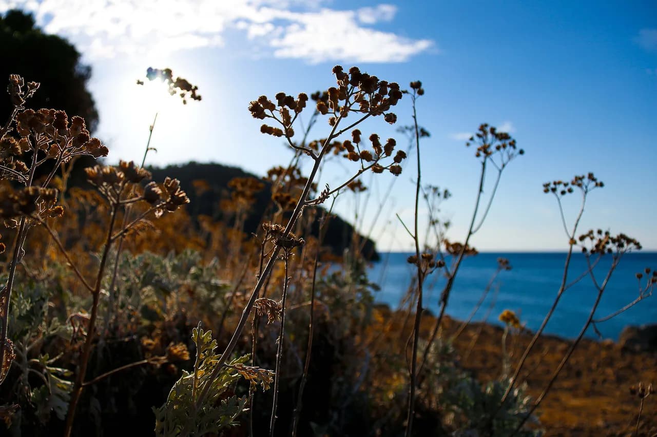GR221 Mallorca: Plan the Tramuntana Route and Stages