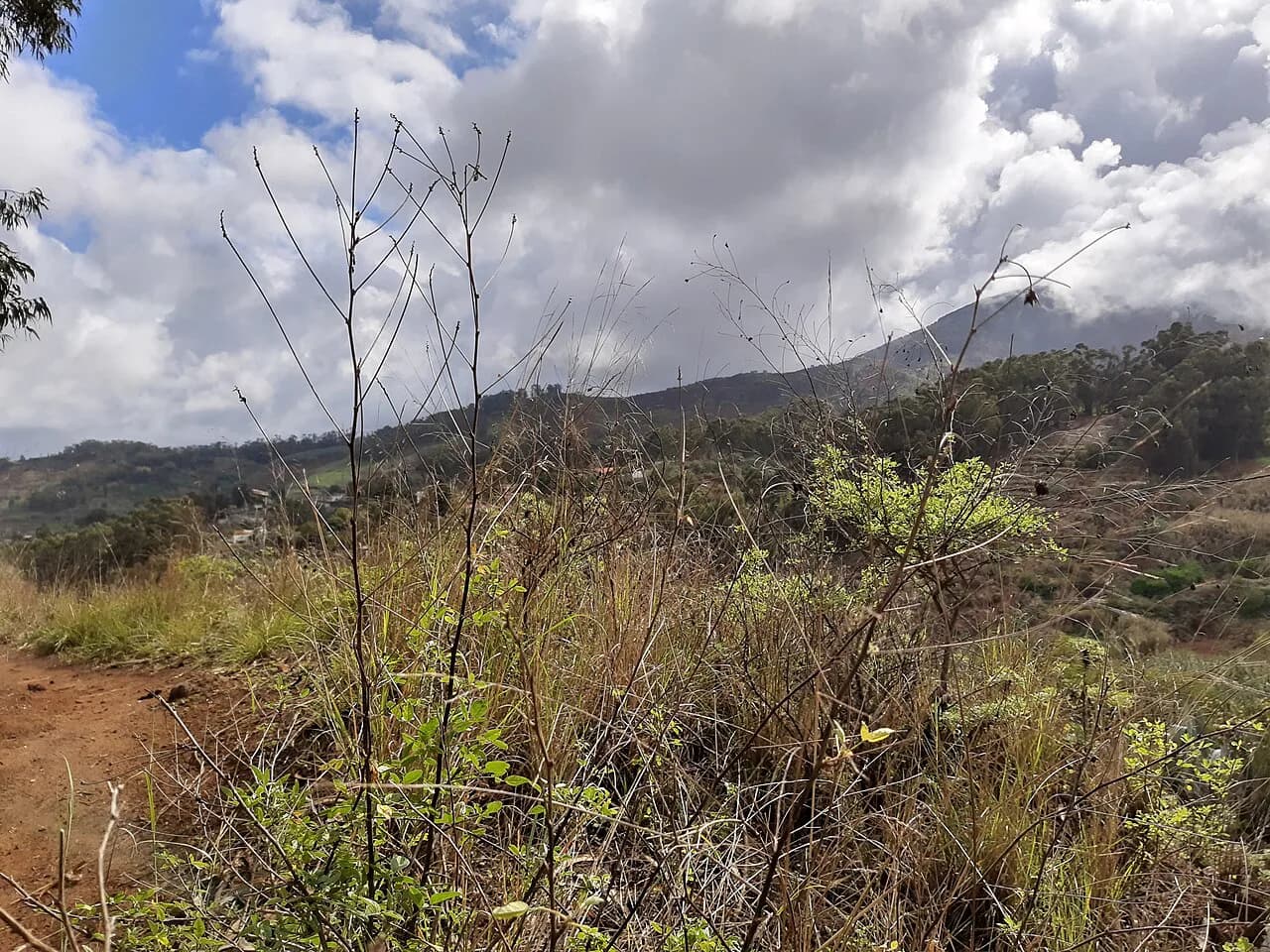 Hiking in Gran Canaria: Best Trails, Base Towns and Seasons