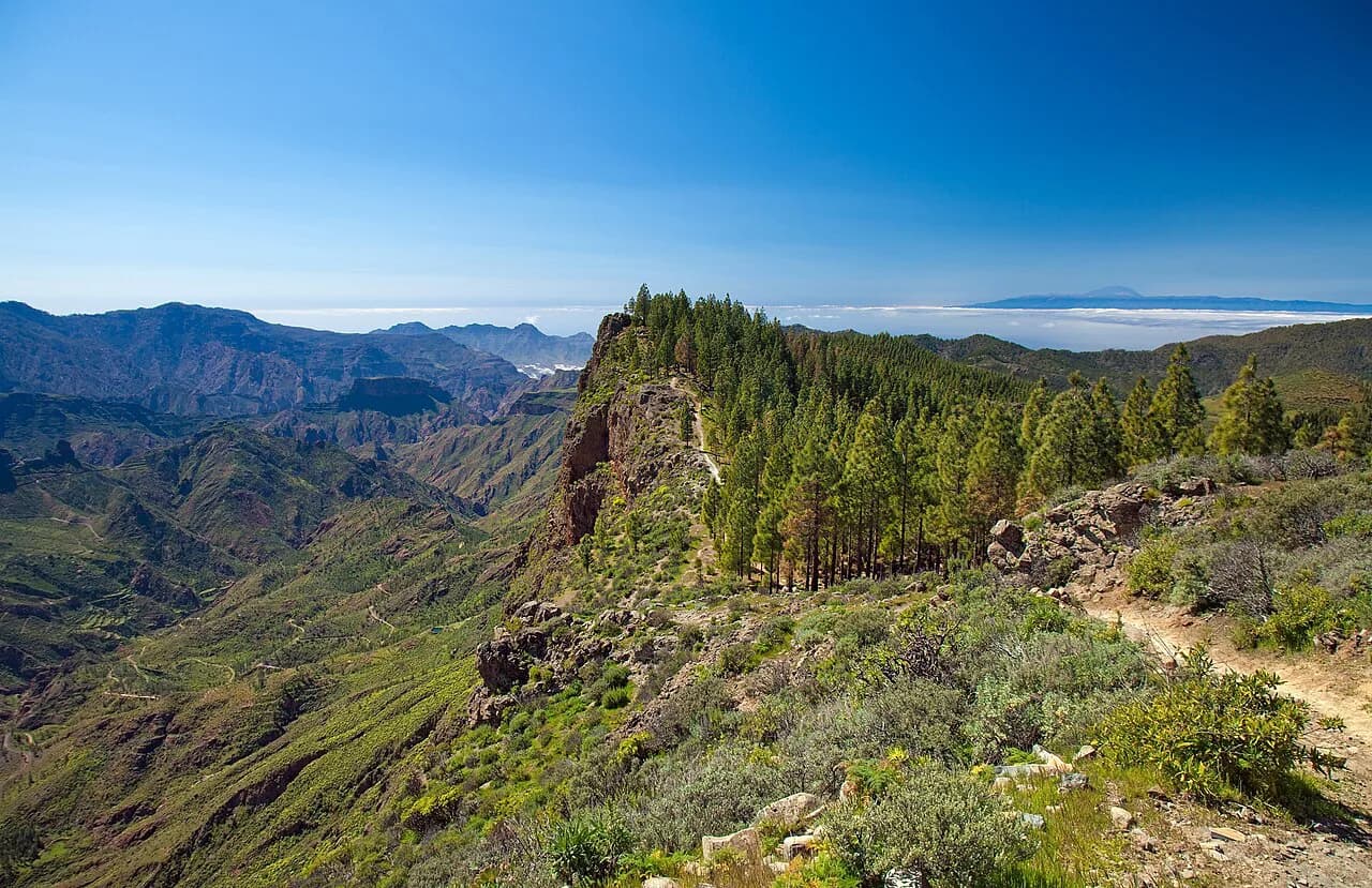 Gran Canaria Walking Holidays: Guided vs Self-Guided Trips