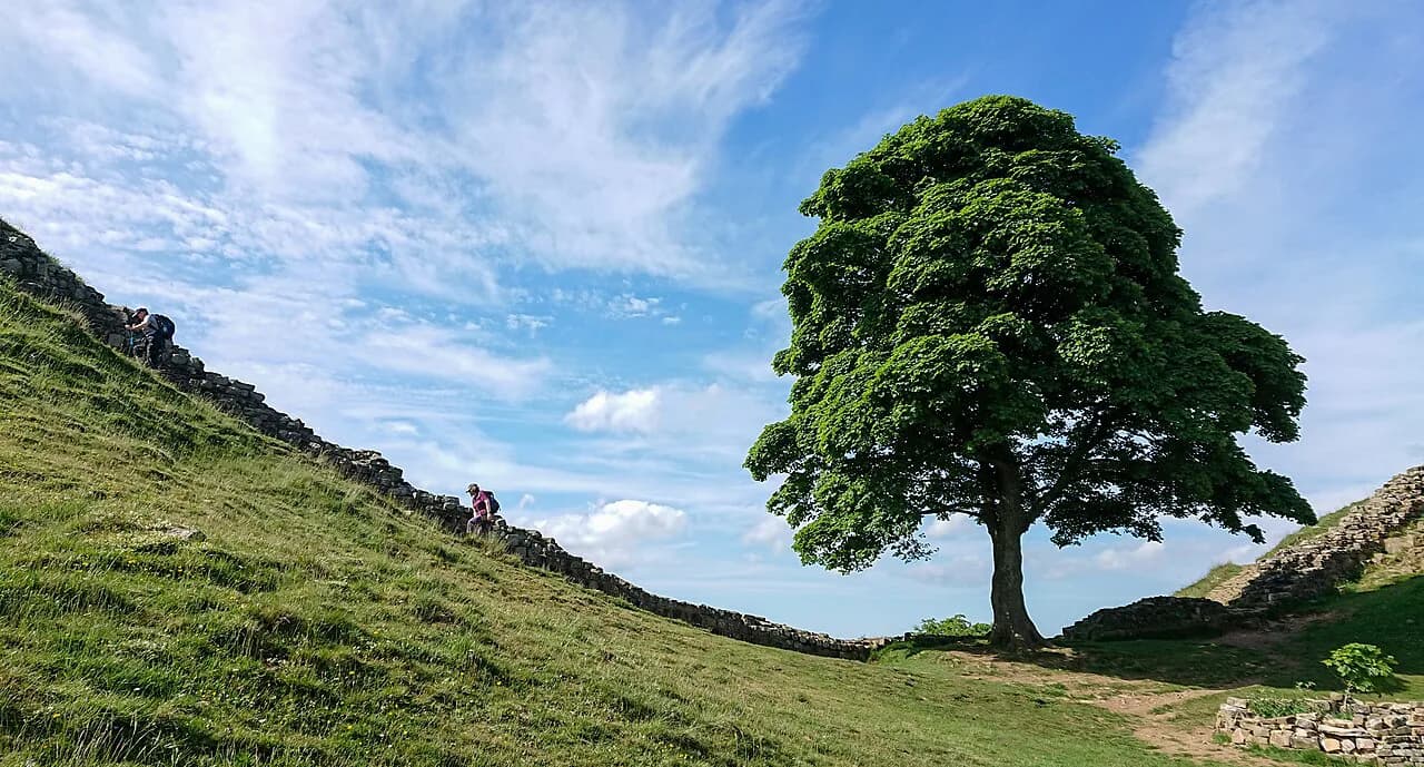 Hadrian's Wall Path: Complete Hiking Guide, Distances and Stages