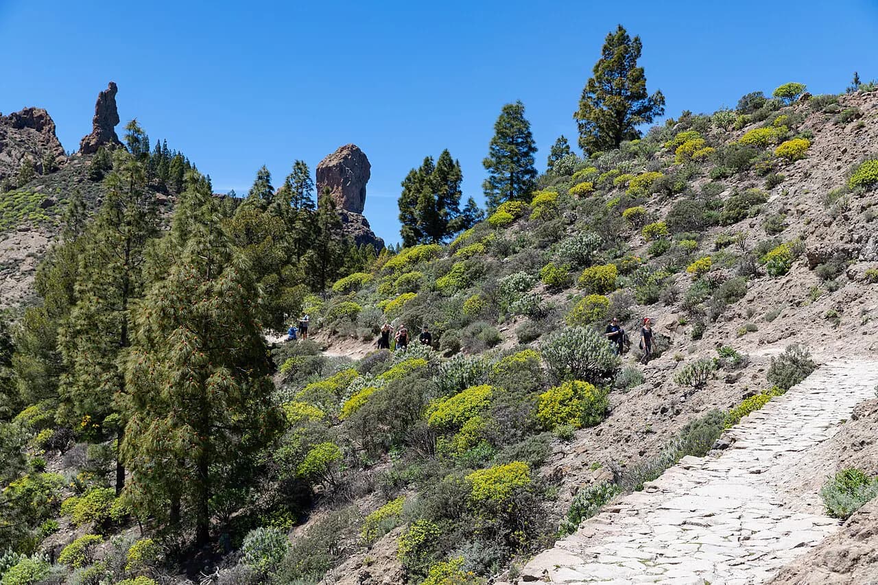 Hiking in Gran Canaria Without a Car: Bus & Trail Guide