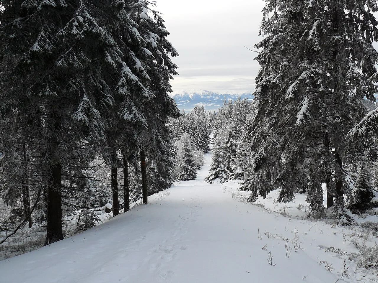 Hiking in Poland: Tatra, Pieniny and Carpathian Trails