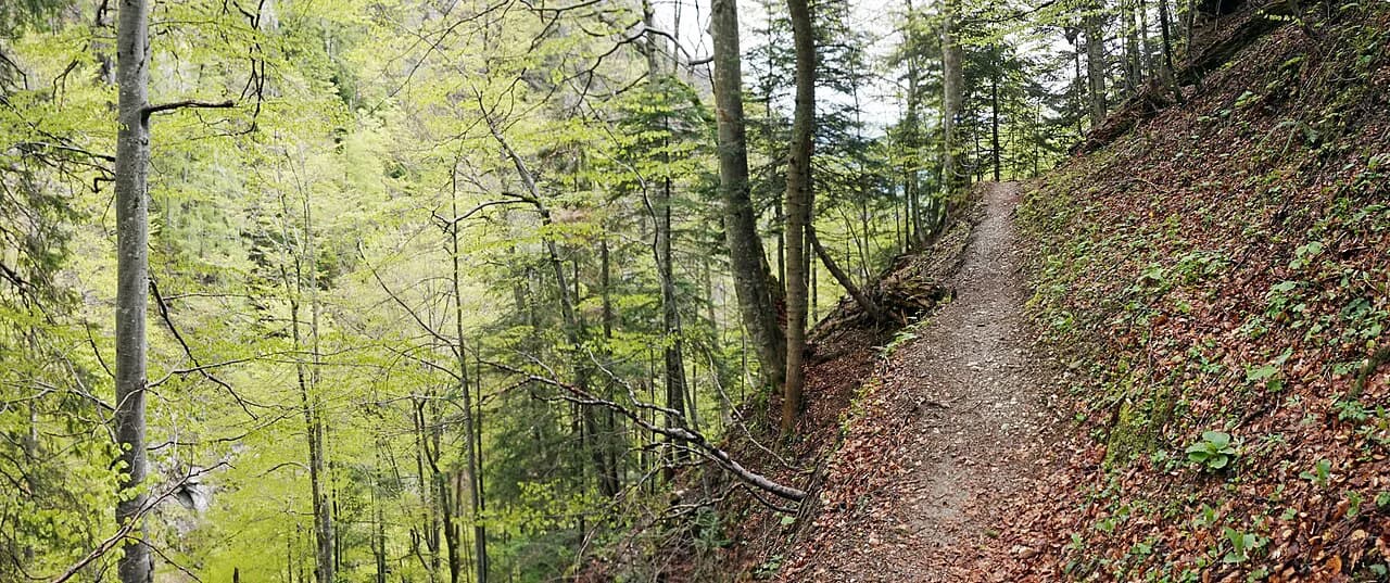 Hiking in Romania: Carpathian Trails, Bases and Seasons