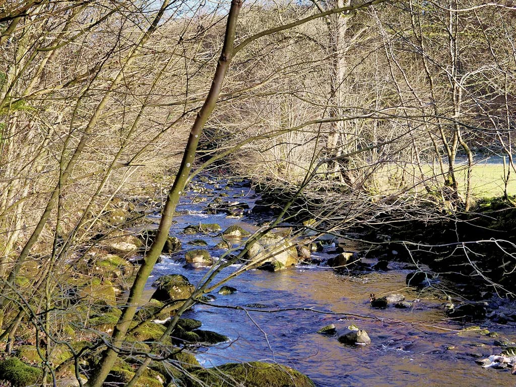 Ingleton Waterfalls Trail: Route, Length and Parking
