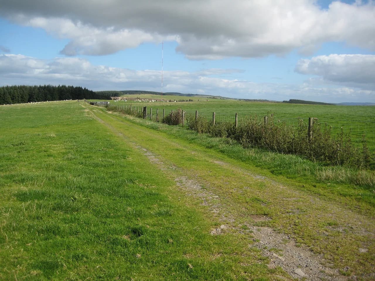 Kerry Way: Stage Guide, Distance and When to Walk It