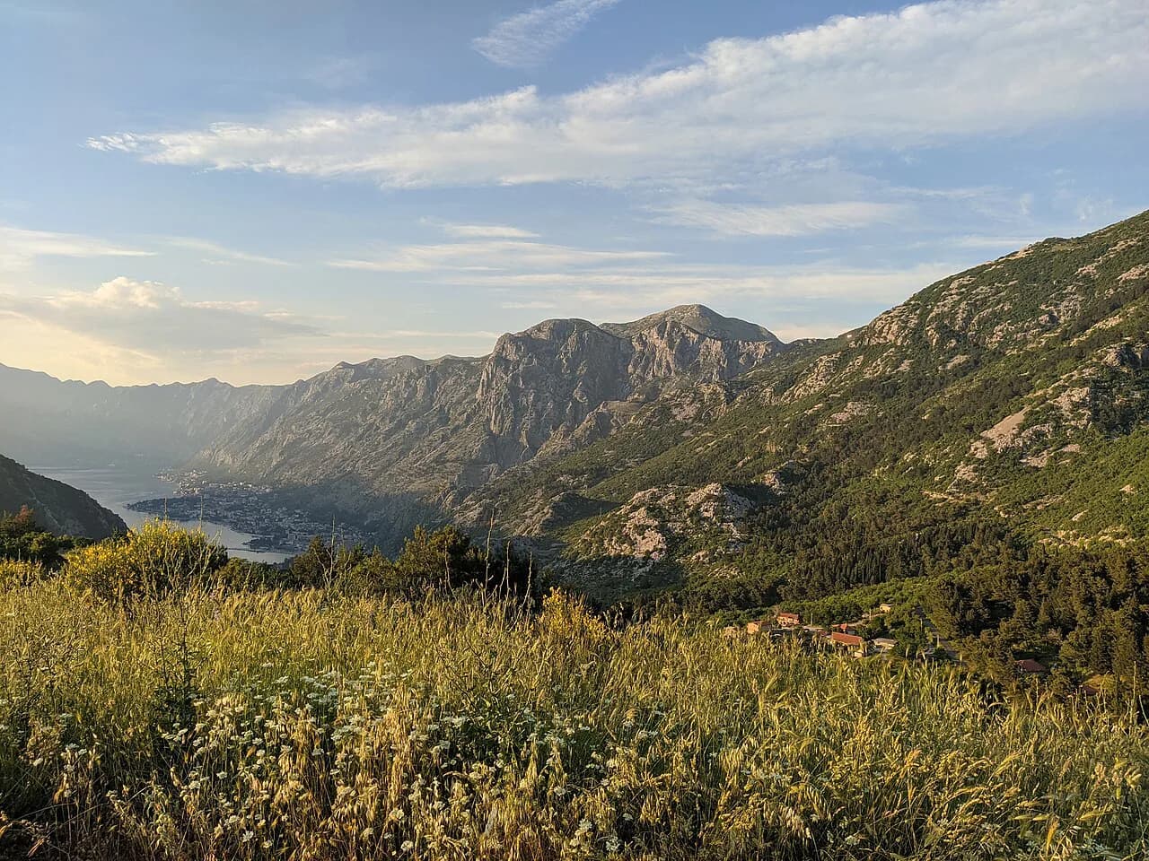 Kotor to Lovćen Hike: Trail, Steps & Summit Guide