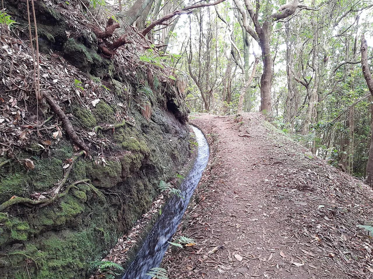 Levada do Moinho to Levada Nova Waterfall Hike, Madeira