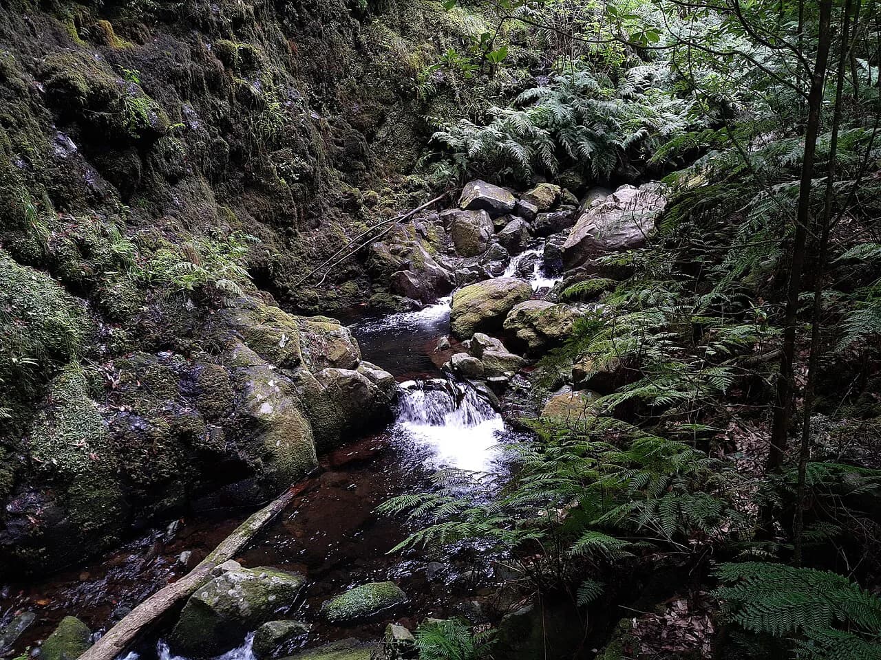 Levada do Rei (PR18), Madeira: Trail Guide and Booking