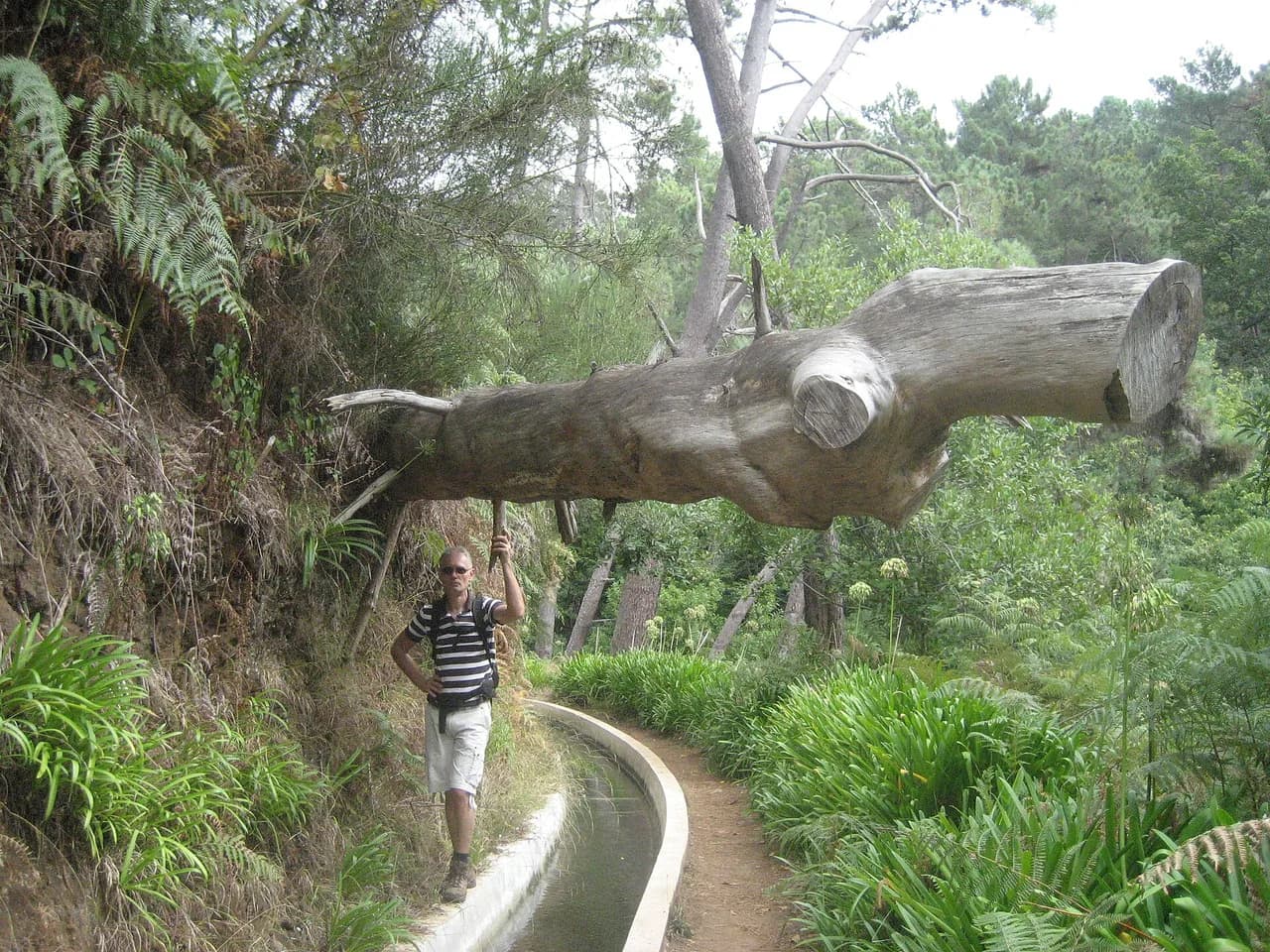 Levada dos Balcões (PR 11): Madeira's Easiest Levada Walk