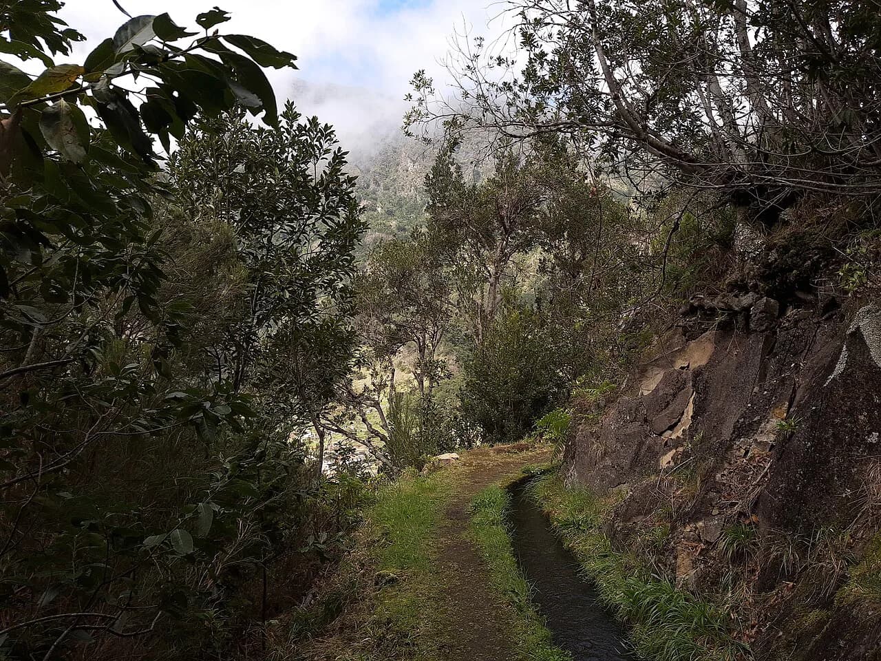 Levada dos Tornos: Madeira's Longest Levada Walk