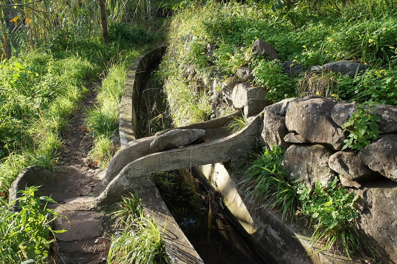 Levada Nova Hike, Madeira: Route, Waterfall and Loop Details
