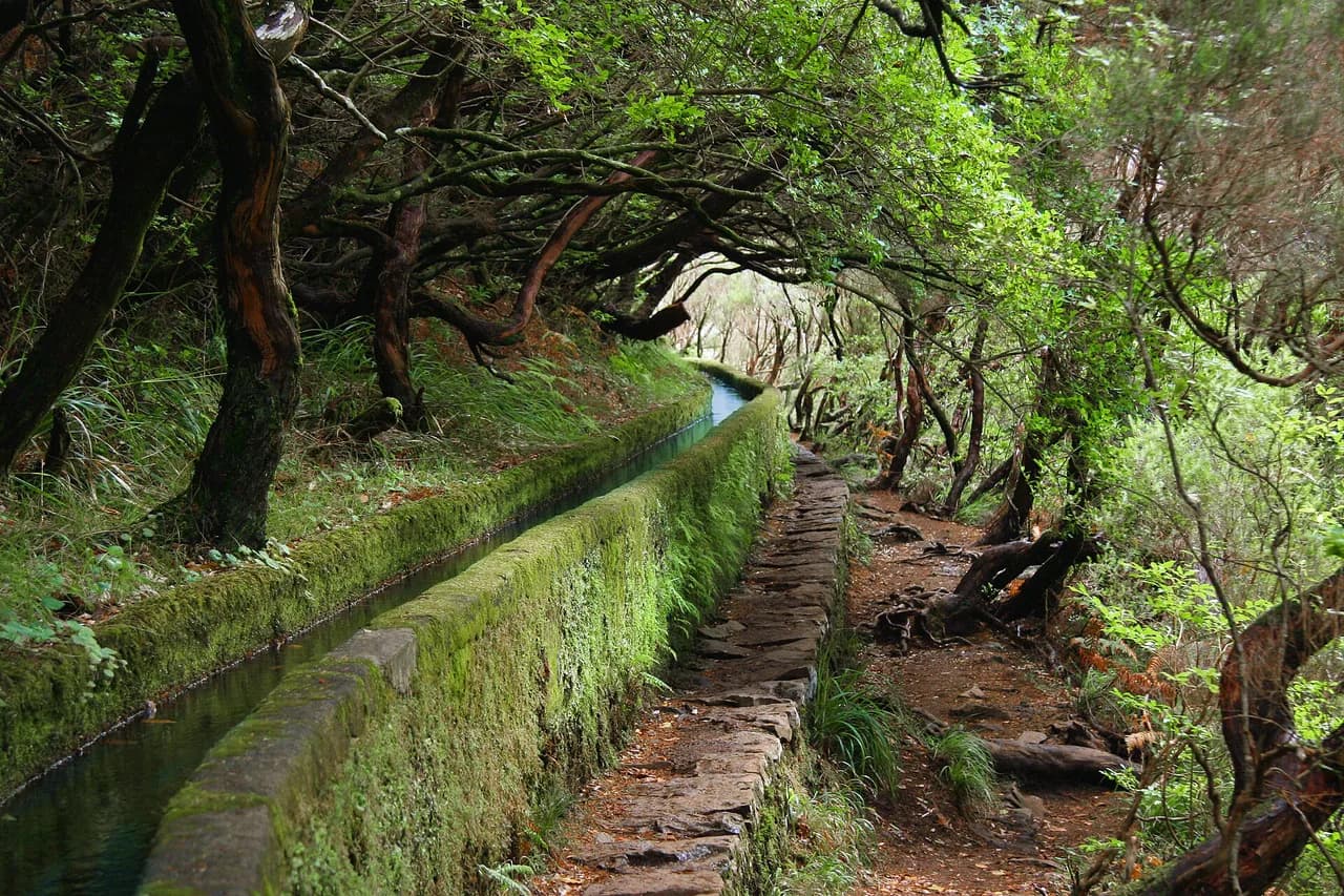 Levada Walks in Madeira: Which Trail Suits You