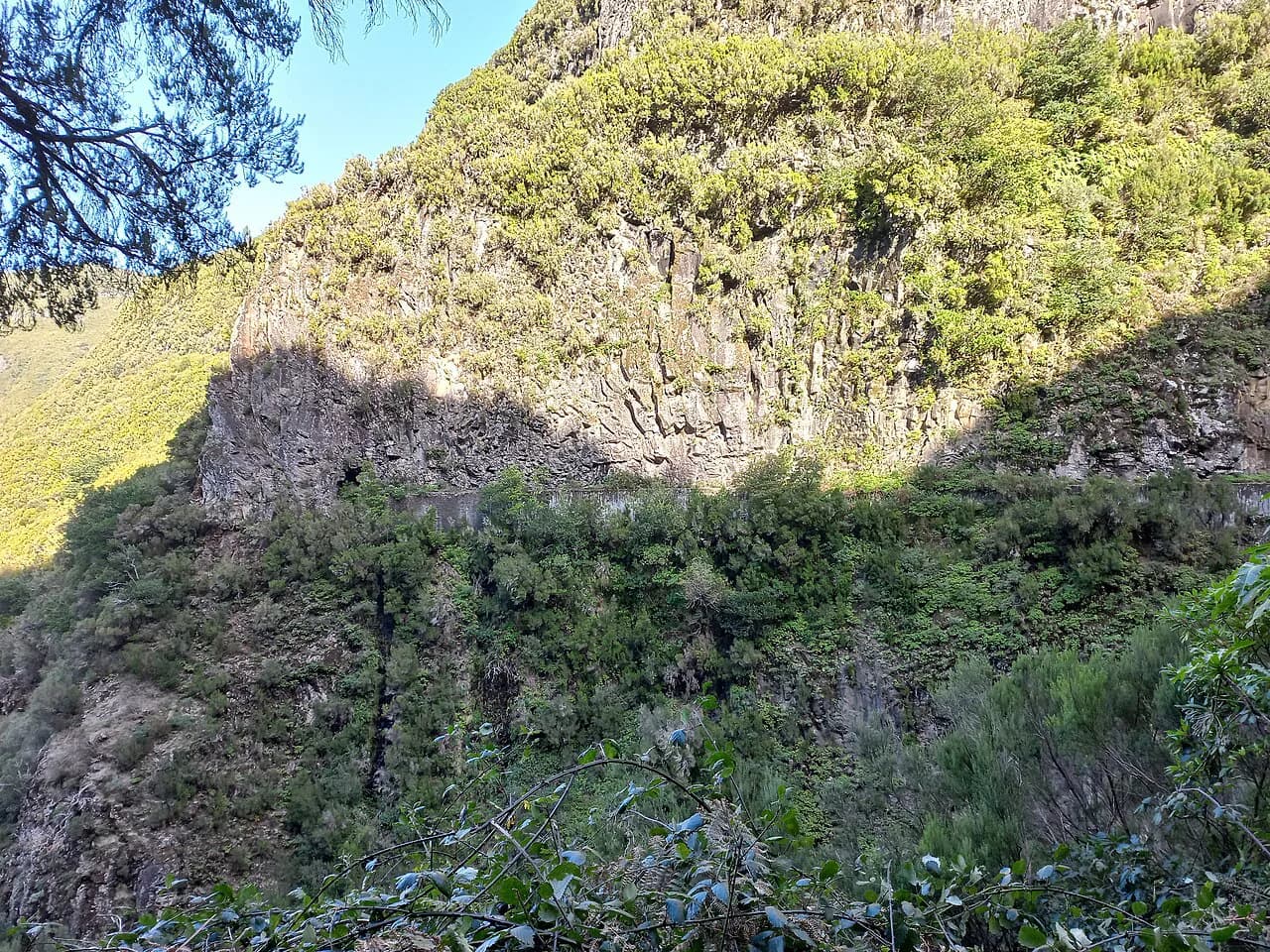 Madeira Walking Holidays: Guided vs Self-Guided Trips