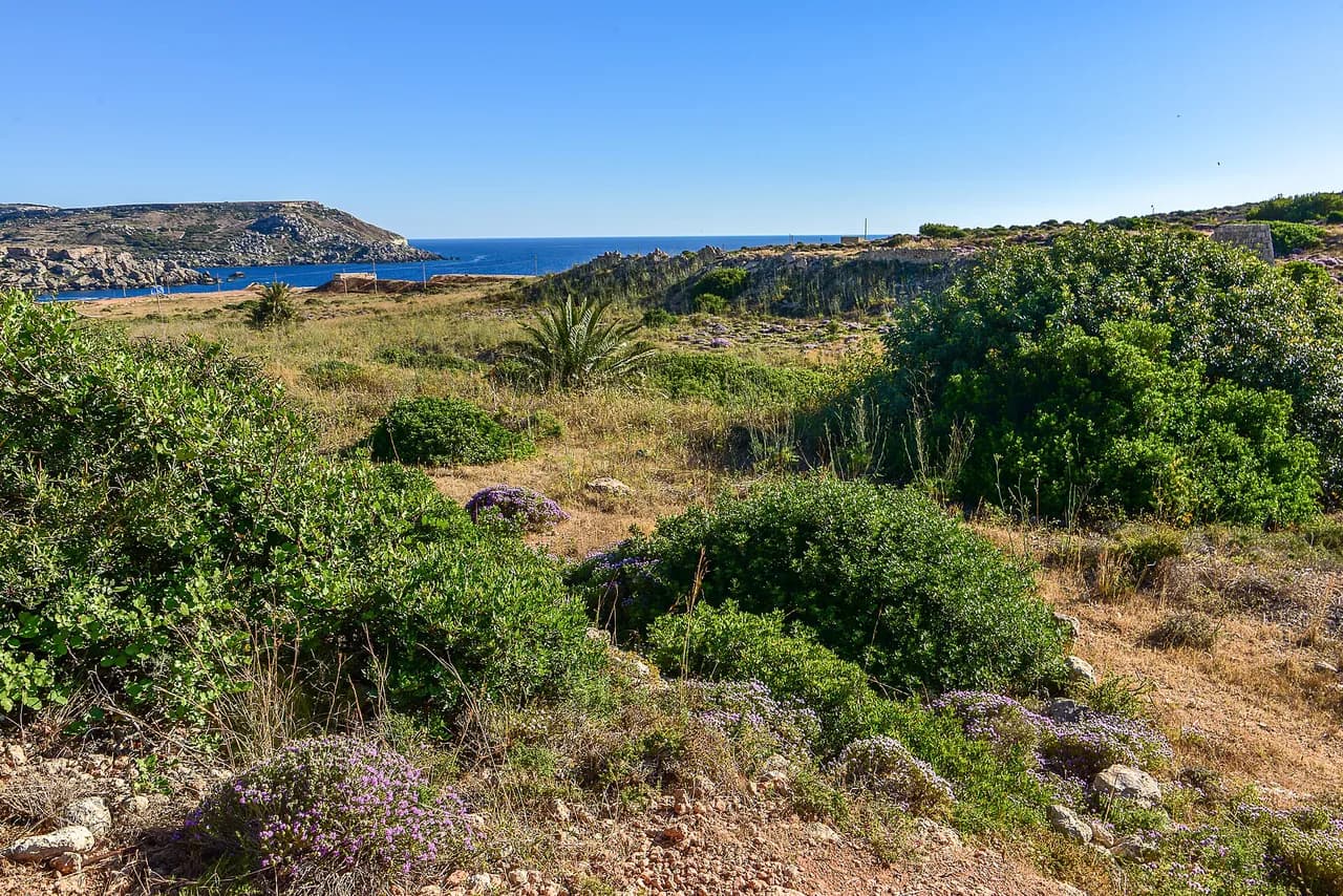 Malta Coastal Walks: Route Options, Distances and Seasons
