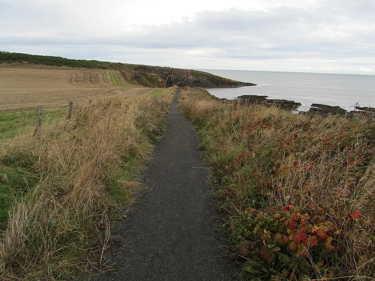 Northumberland Coast Path: Stages and When to Walk