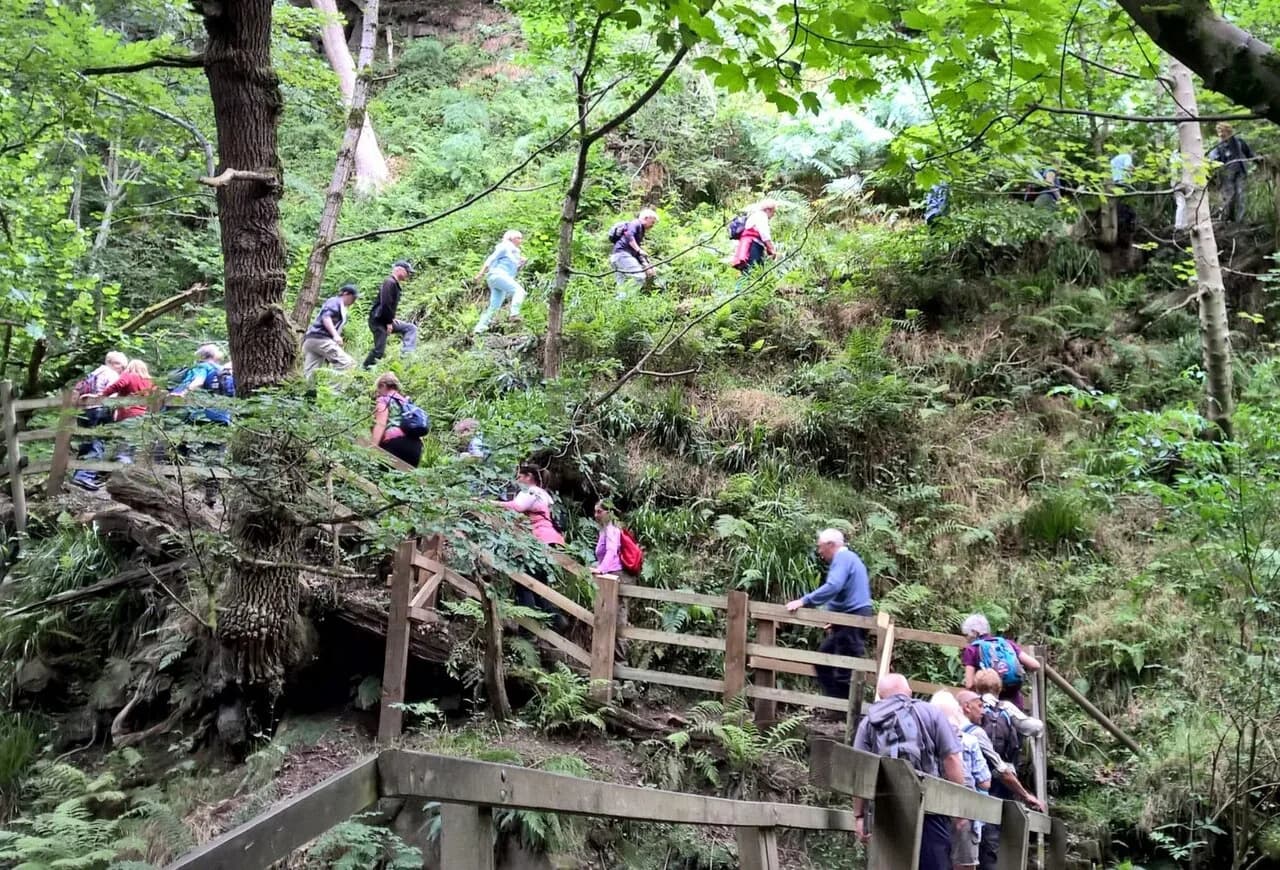 Padley Gorge Walk: Route, Parking and Trailhead Access
