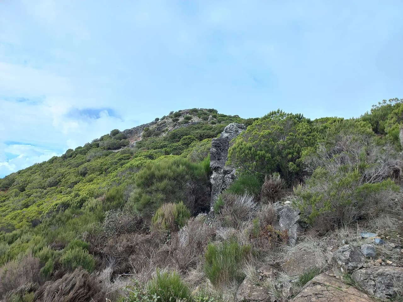 PR6 Madeira: Levada das 25 Fontes Hike Guide
