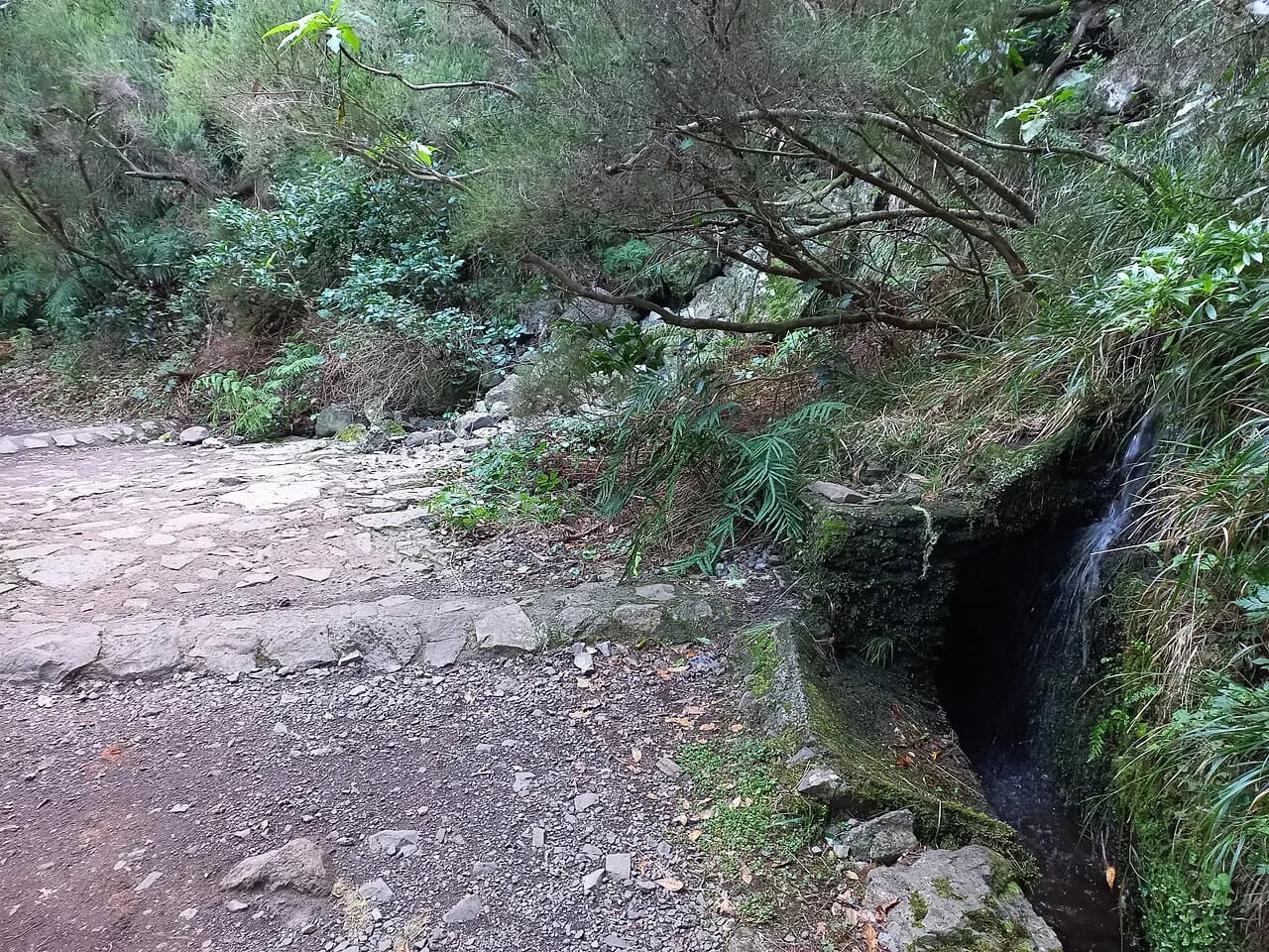 PR8 Madeira: Vereda da Ponta de São Lourenço Trail Guide
