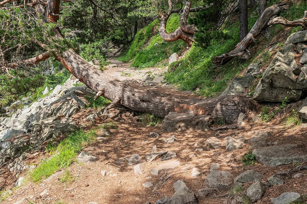 Pyrenees Hut-to-Hut Hiking: Choose Routes and Book Huts