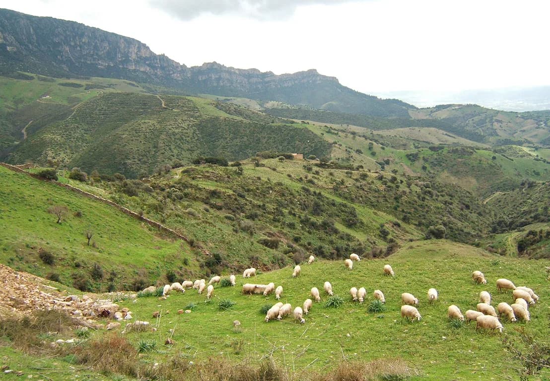 Hiking in Sardinia: Best Coastal and Mountain Trails by Area
