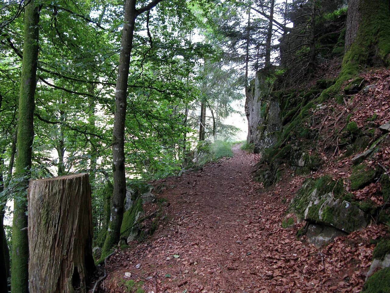 Schluchtensteig: Germany's 119 km Black Forest Gorge Trail