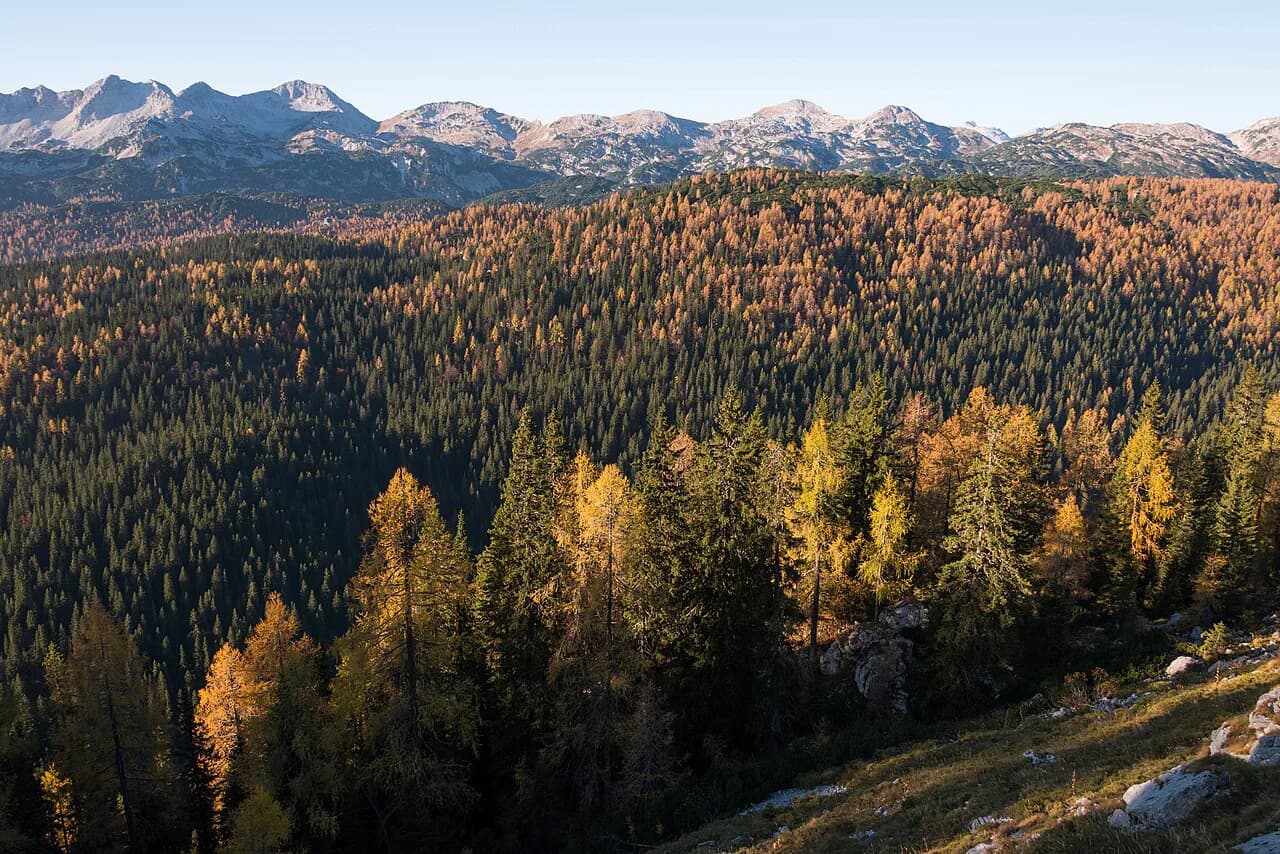 Seven Lakes Valley Hike, Julian Alps: Route and Huts