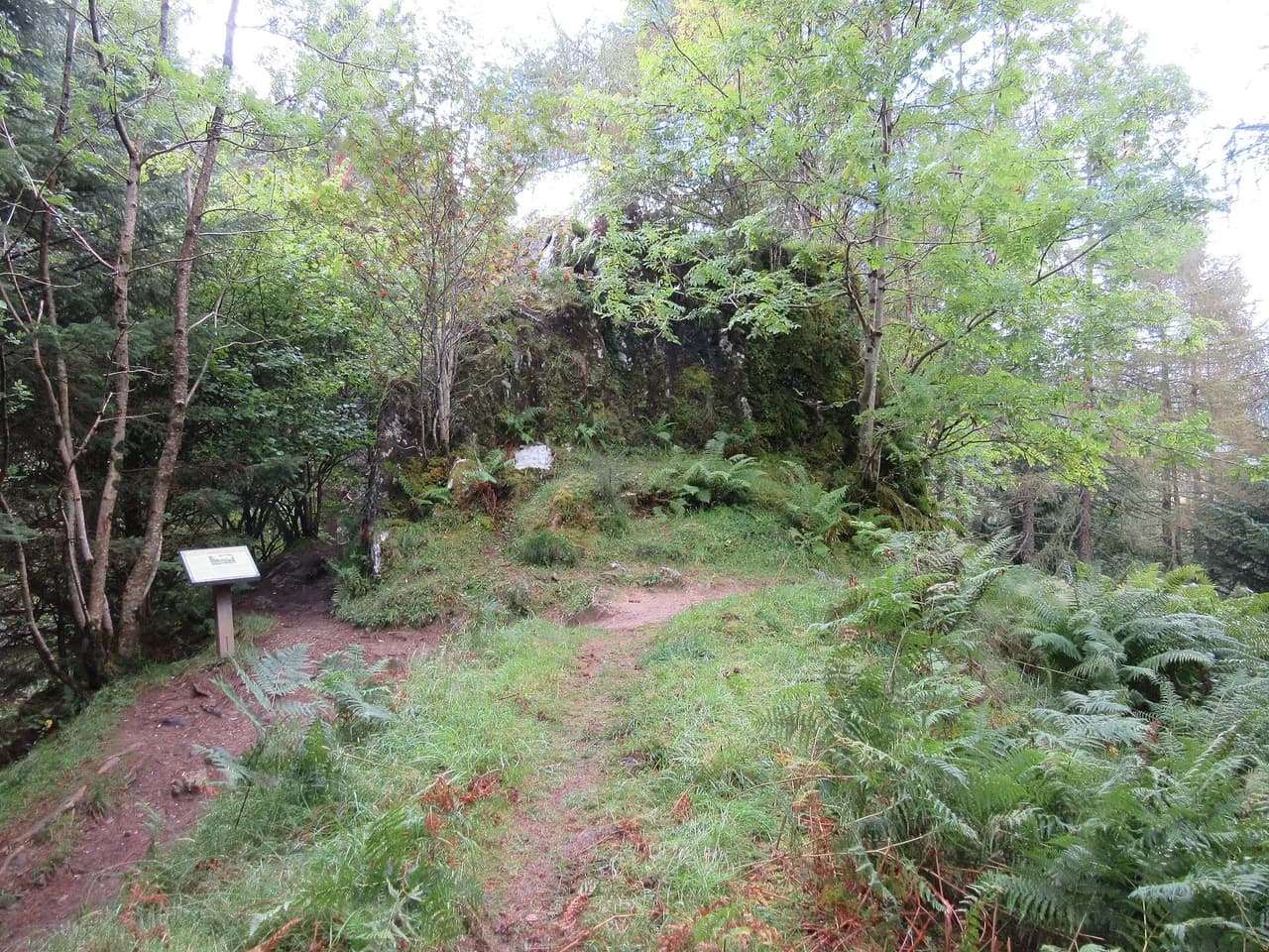 Signal Rock Walk, Glencoe: An Torr Woodland Route Guide