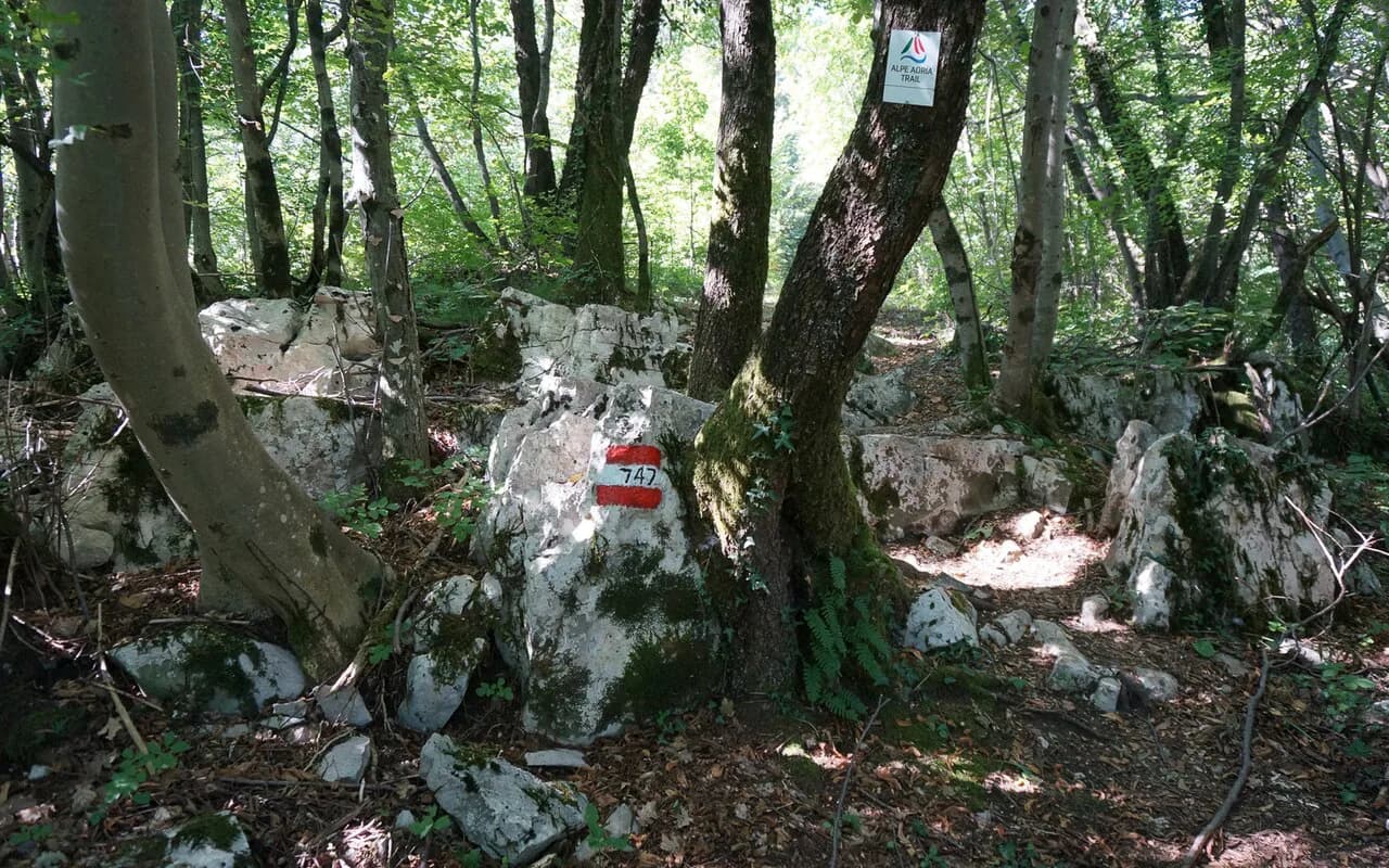 Hiking in Slovenia: Best Trails, Bases and When to Go