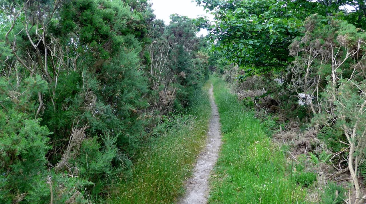 Speyside Way: Scotland's Whisky Trail Route Guide